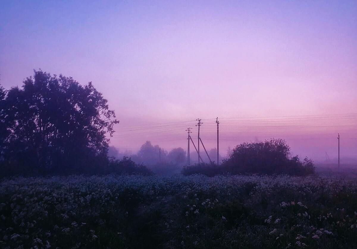 开云体育官网：让热爱体育在指尖绽放的全新体验